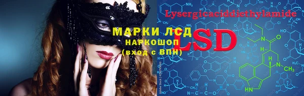 стаф Белокуриха