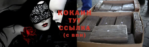 крисы Курчалой