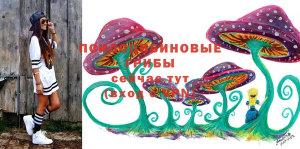 стаф Белокуриха