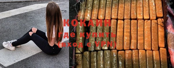стаф Белокуриха