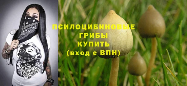 прущие крисы Беломорск
