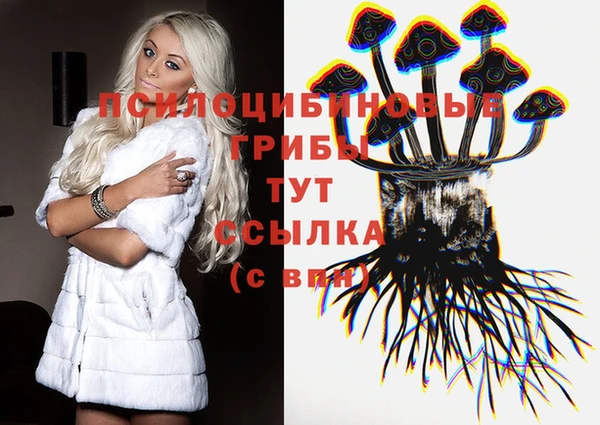 прущие крисы Беломорск