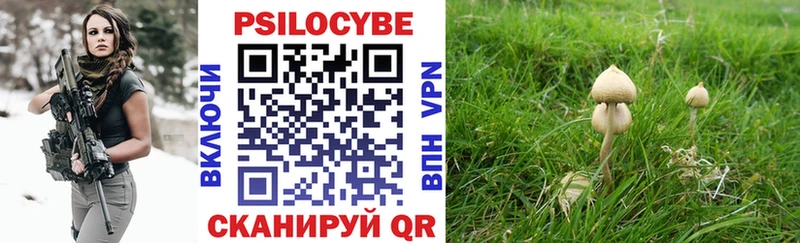 цена наркотик  Магас  Галлюциногенные грибы прущие грибы 